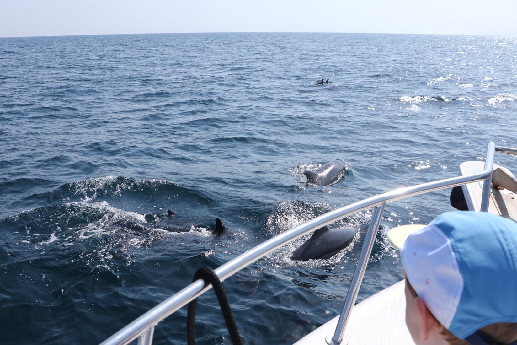 Bandar Al Khayran Journey: Group Tour with Snorkeling 2