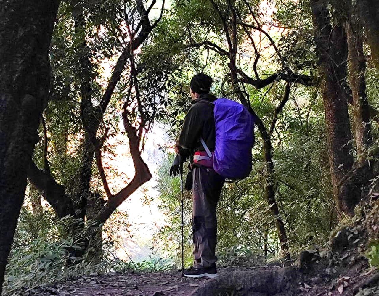 Kathmandu: Jamacho Hike, Tree Planting, and Picnic Tour
