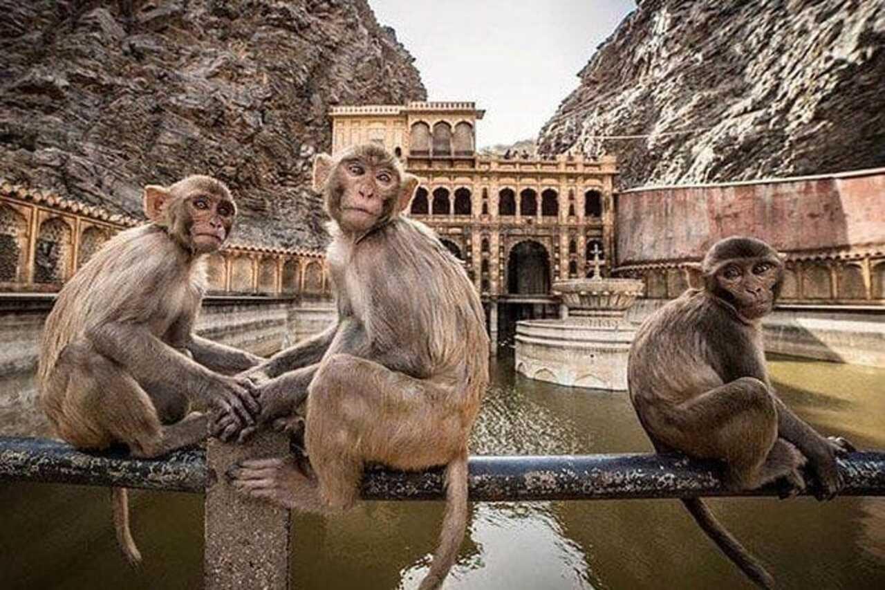 Jaipur: Hidden Temples & Stepwells Private Tour by AC Car