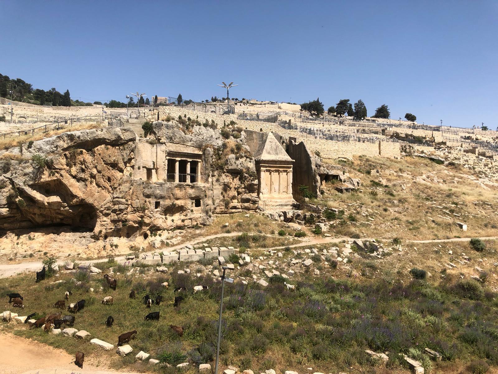 From Jerusalem: Jerusalem & Bethlehem Sacred Sites Tour 3