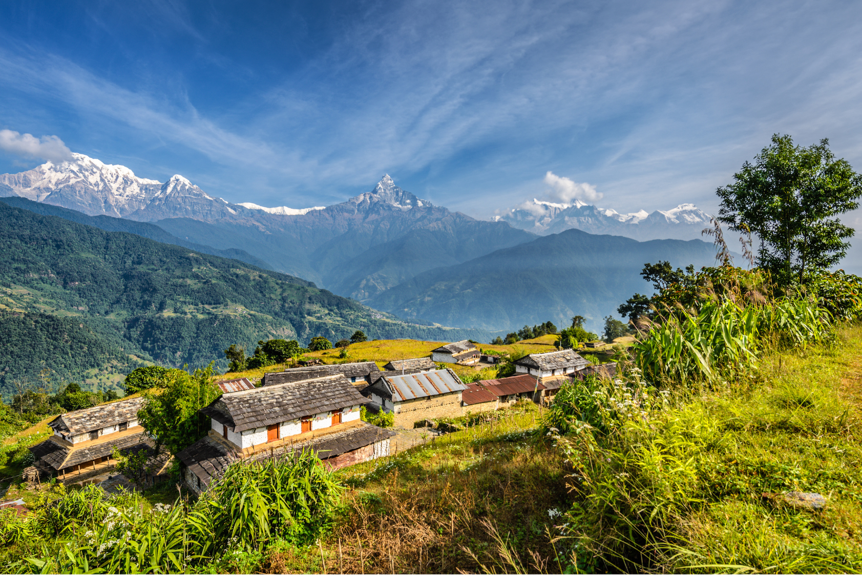 Pokhara View Trail: Australian Camp & Dhampus Guided Trek 3
