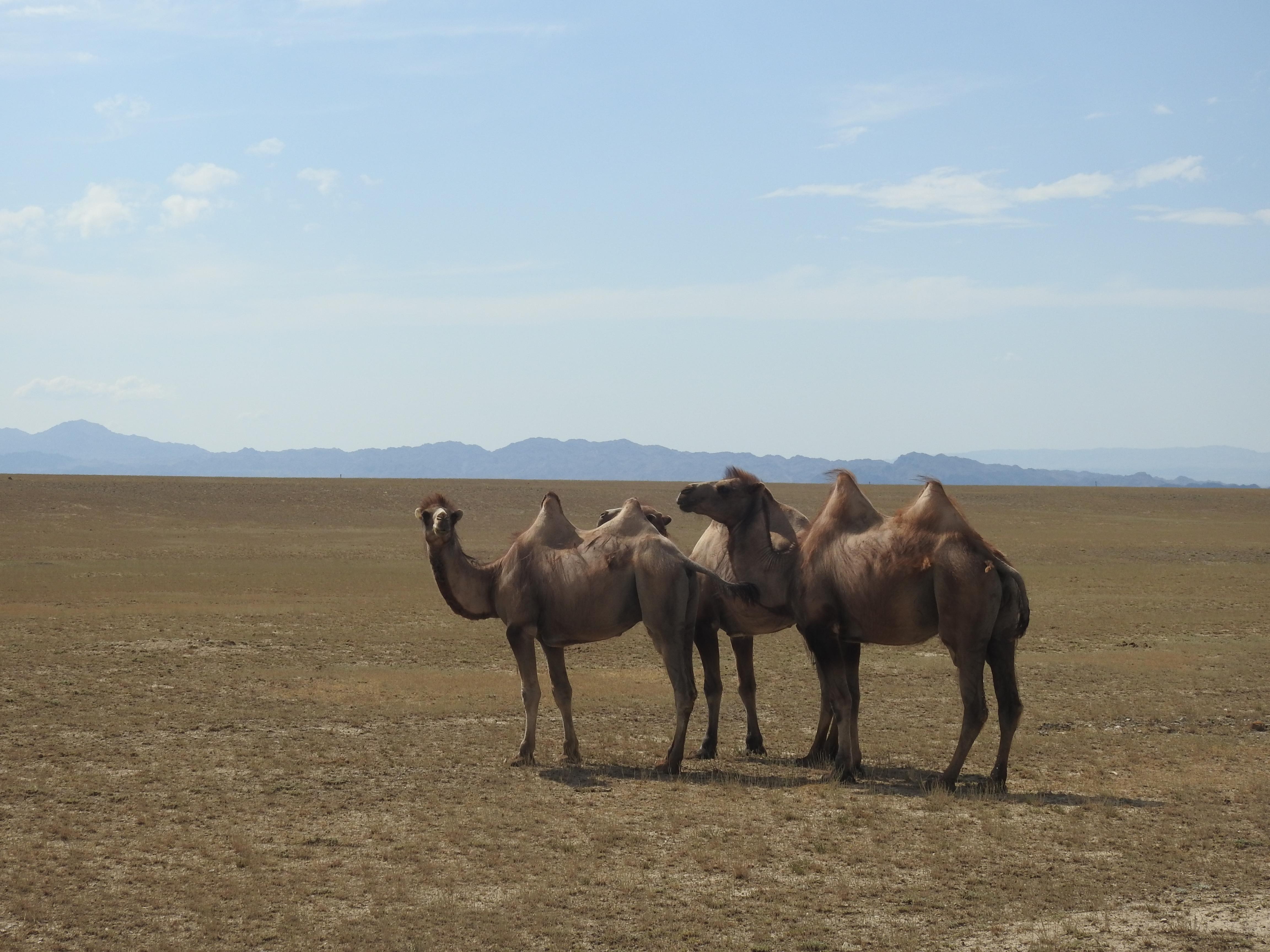 Charyn Canyon: 3-Day Private Kolsay Lakes & Kaindy Lake Tour 2