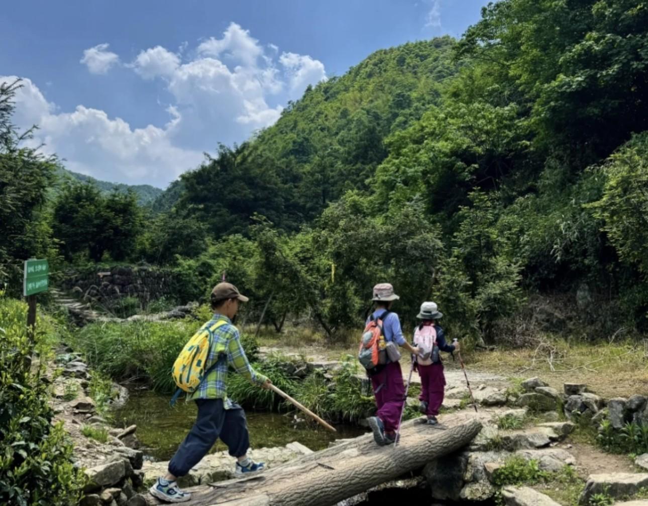 Shanghai: Zoumagang Hike Through Ancient Torreya Forest 2