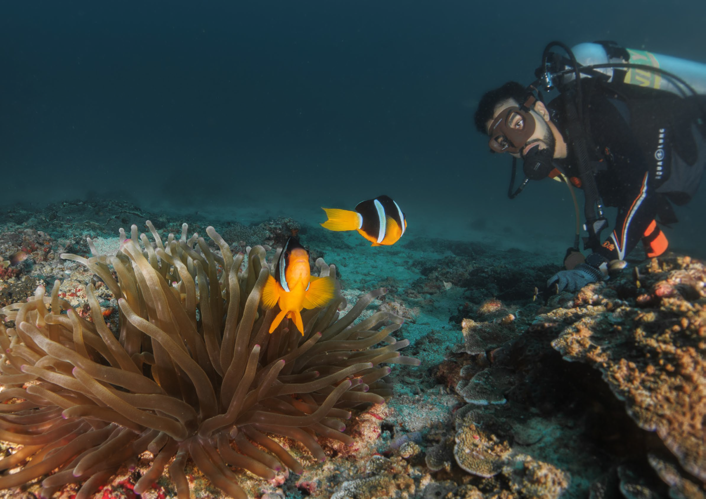 Daymaniyat Diving Trip