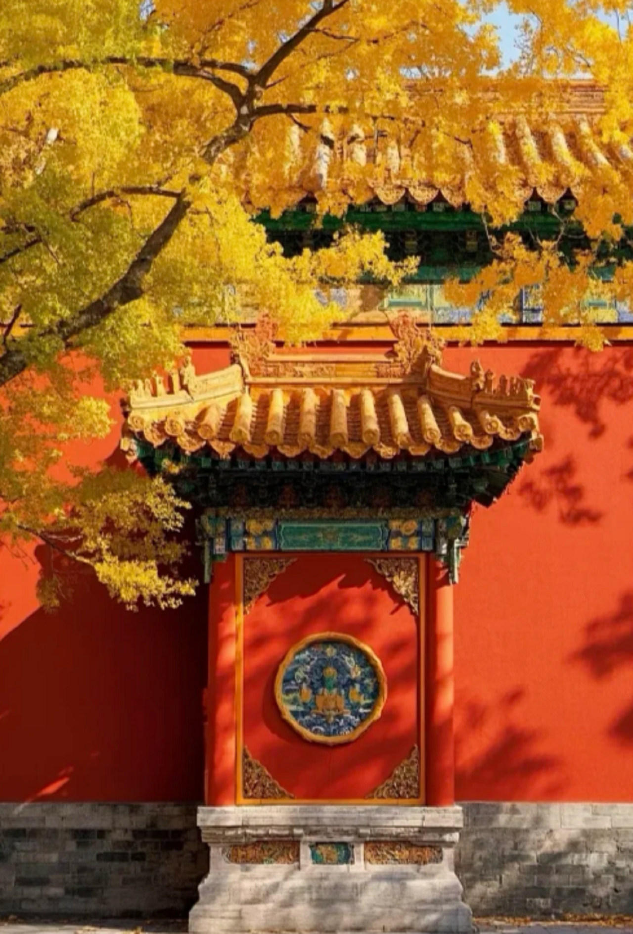 Beijing Tiananmen & Forbidden City Tour 2