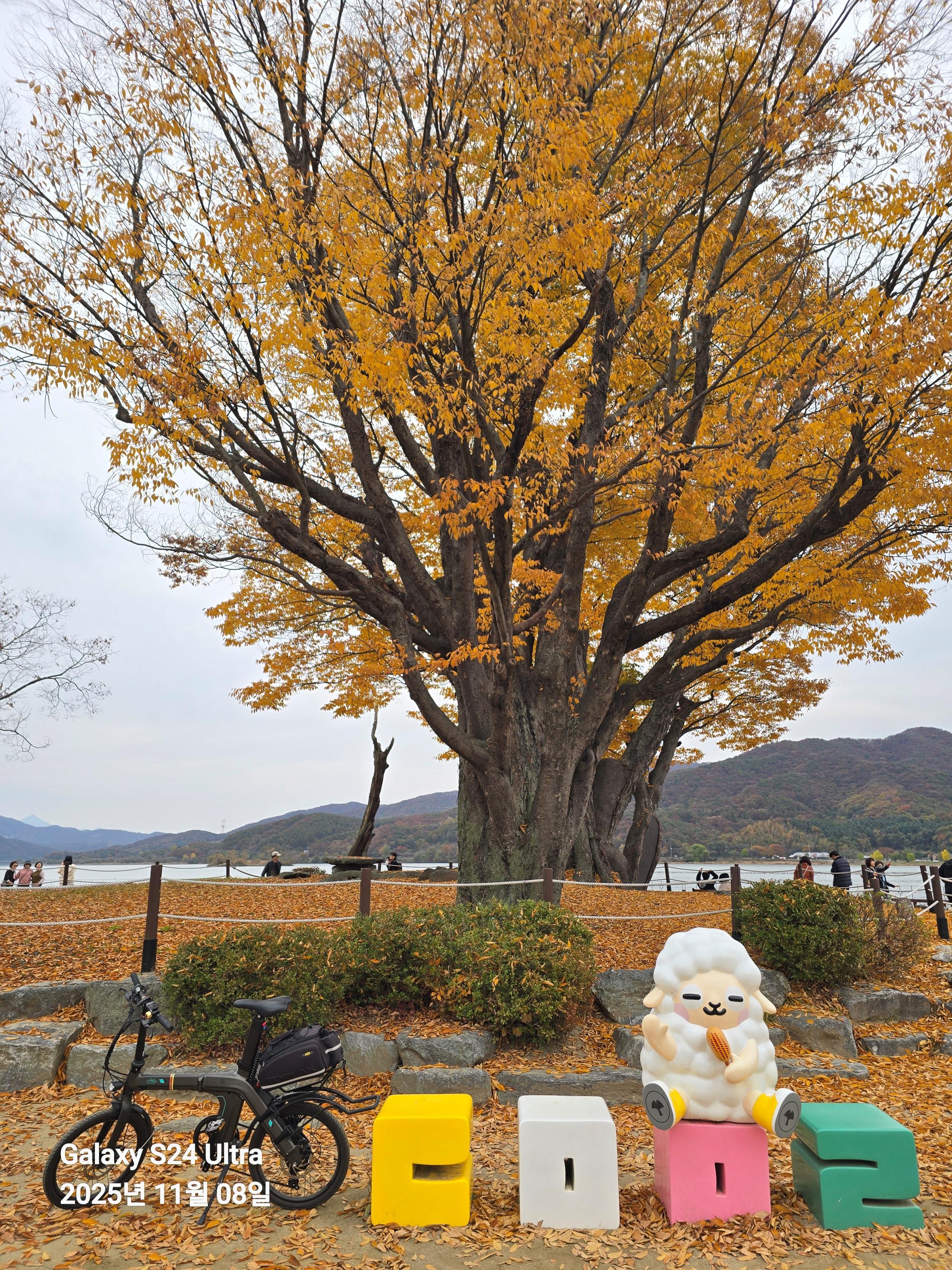 Seoul:Yangpyeong Day Trip with Dumulmeori & Yongmunsa Temple 2