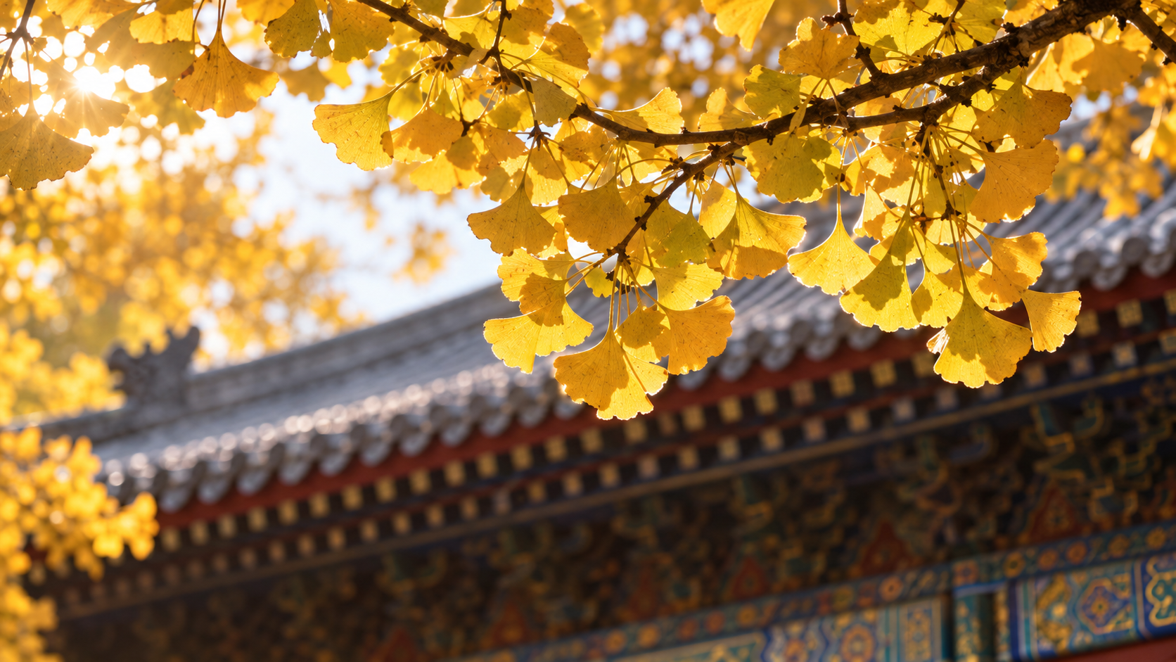Beijing: Hongluo Temple Ticket, Private Car or Tour