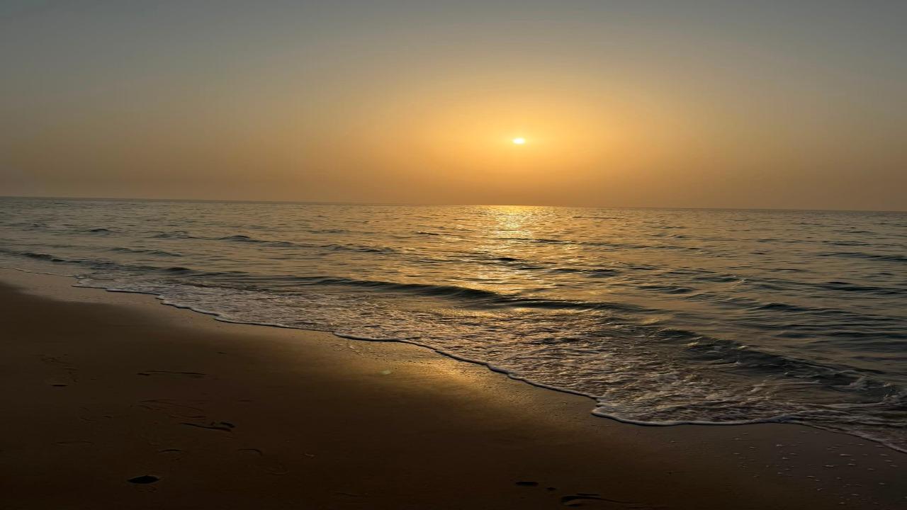 Doha: Sunrise Desert safari , Dune bashing Photography Tour 3