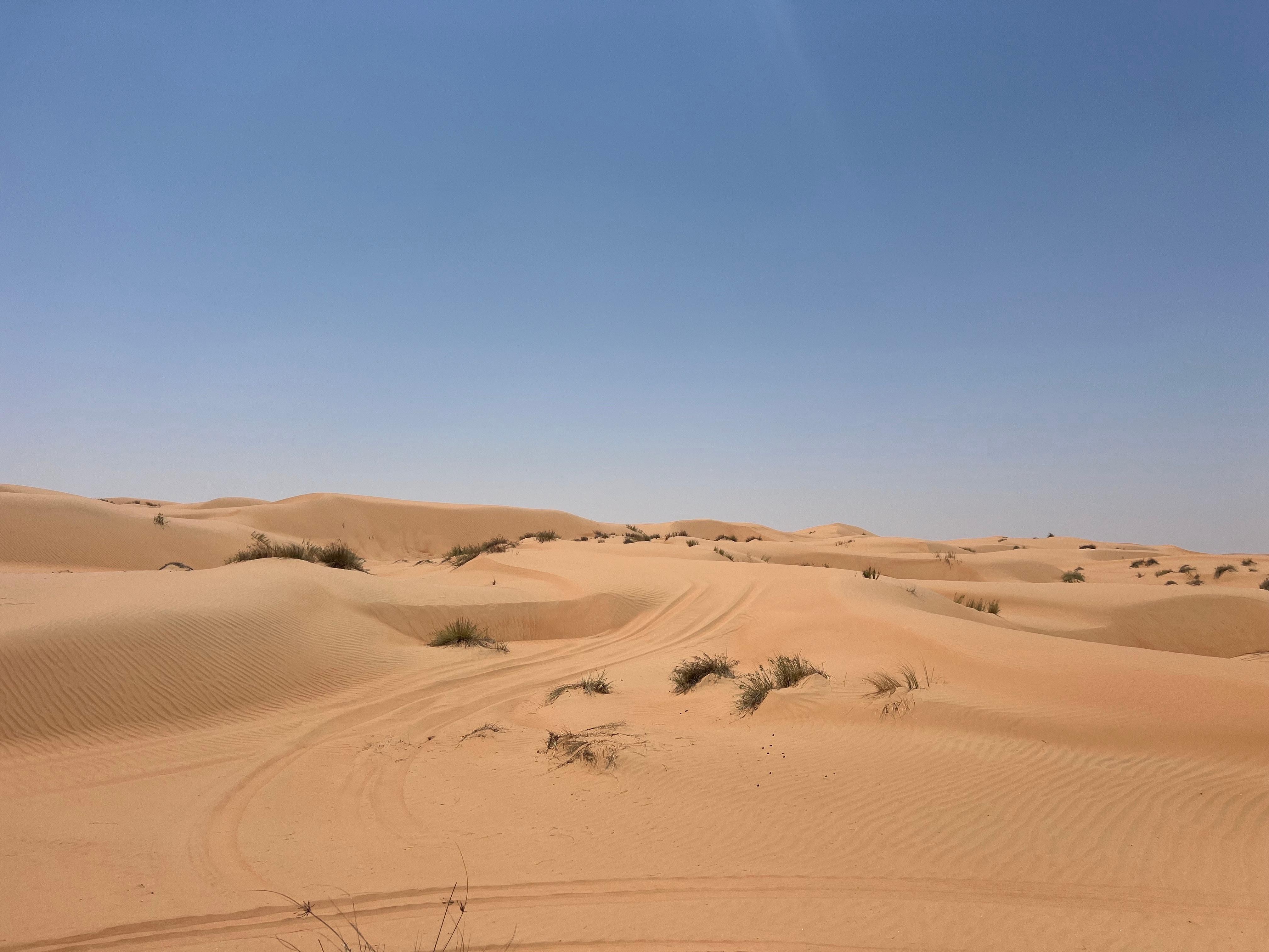 Muscat: Wahiba Sands, Wadi Bani Khalid & Mudayrib Tour 2