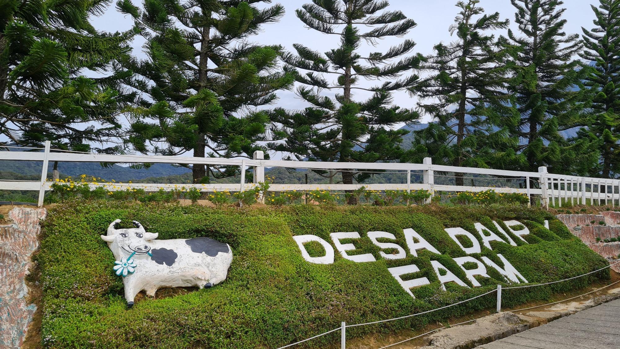 Sabah: Poring HotSpring, Desa & Kinabalu Park – Private Tour 3