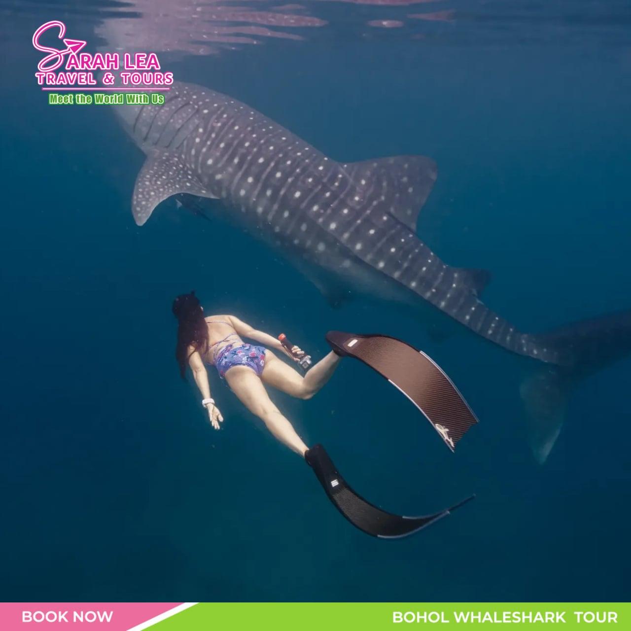 South Cebu: Oslob Whale Shark Viewing Day Tour 2