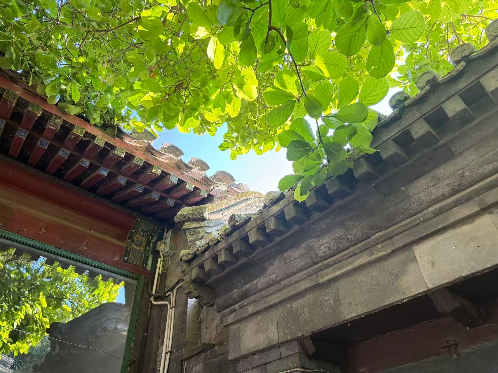 Beijing: Shijia Hutong Walk & Longfusi Local Food Tasting 2