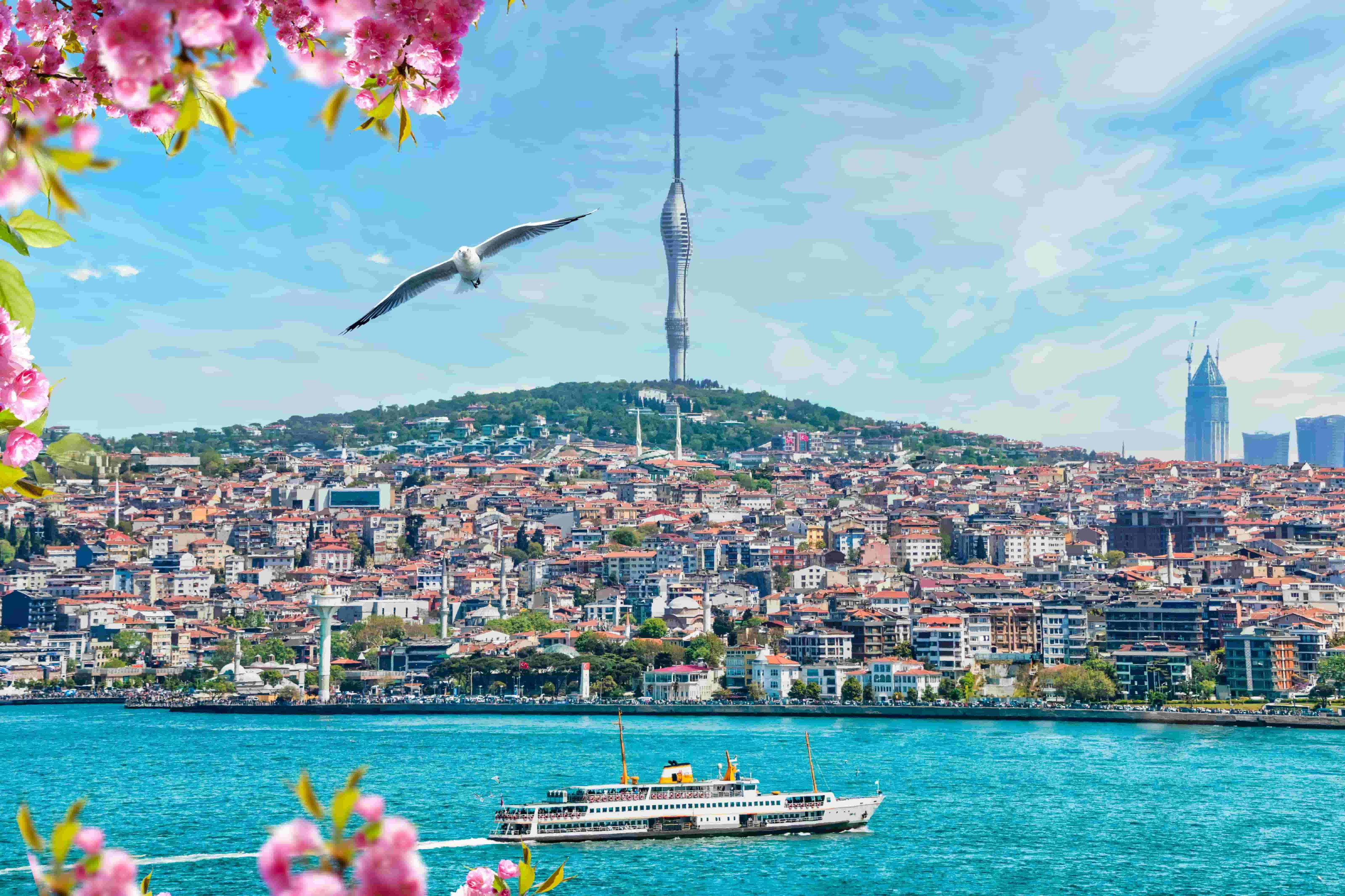 Istanbul: Camlica Tower Entry + Free Turkish Tea
