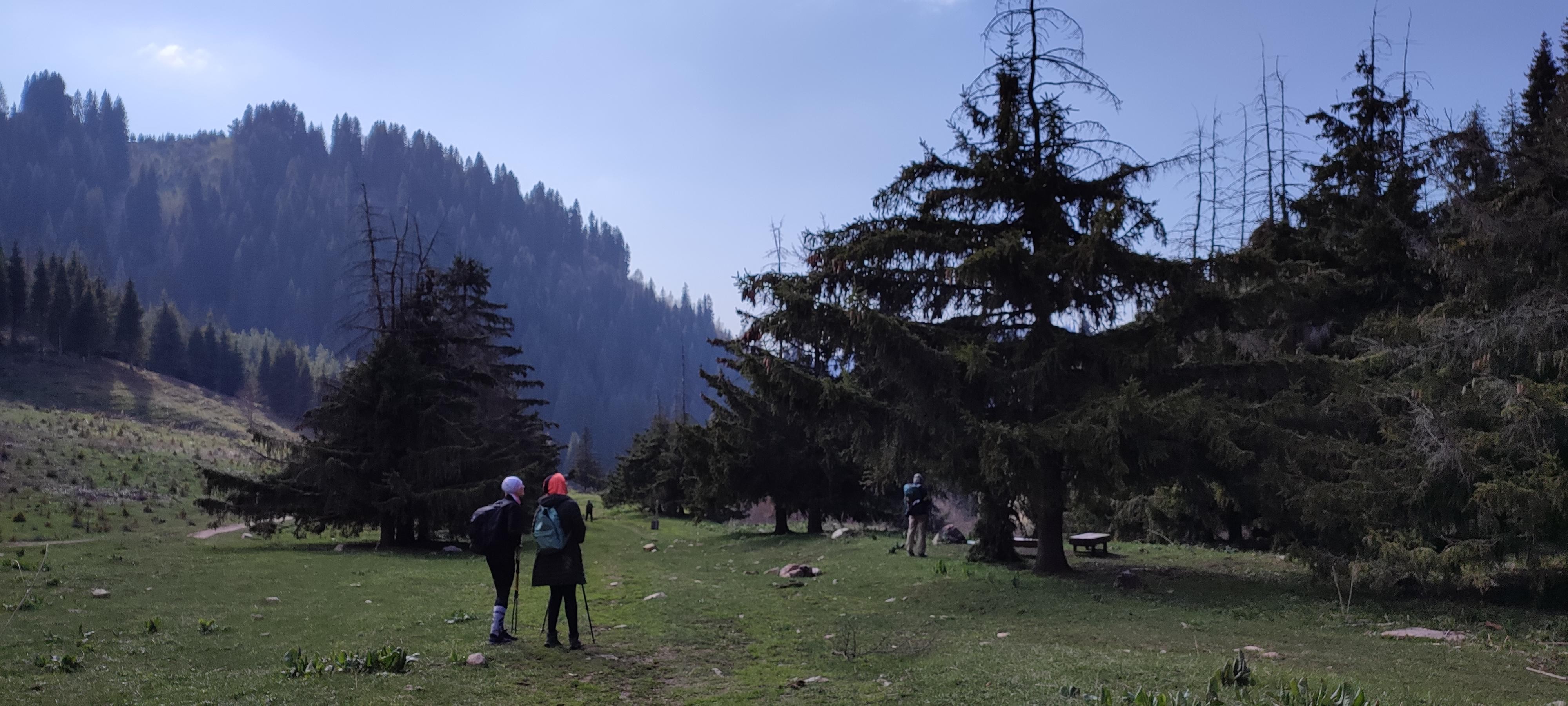 Almaty: Bukreev Peak Hike (3010 m) via Butakovka Gorge 3