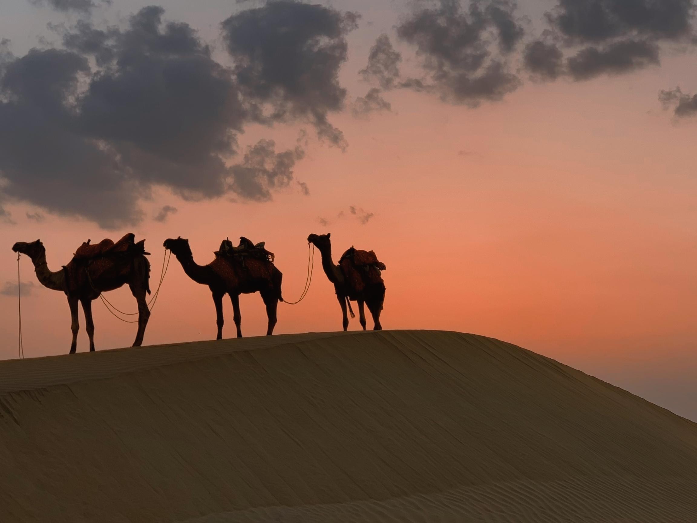 From Salalah: Night in the Desert Overnight Camping 3