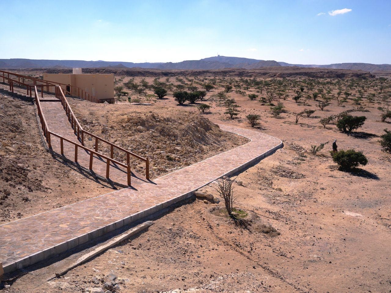 Salalah: Lost City of Ubar & Rub Al Khali Desert Tour
