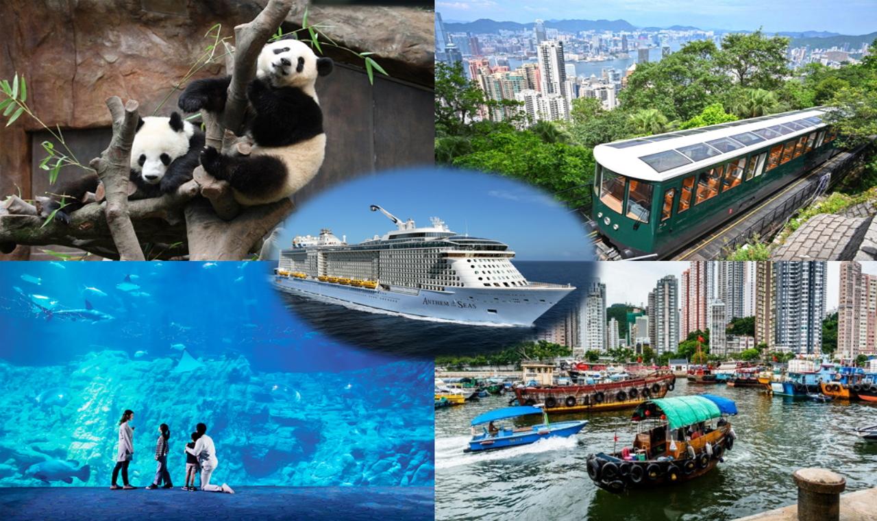 HK Full-Day Shore Excursion with Lunch, Peak and Panda Visit — guided tour in Hongkong