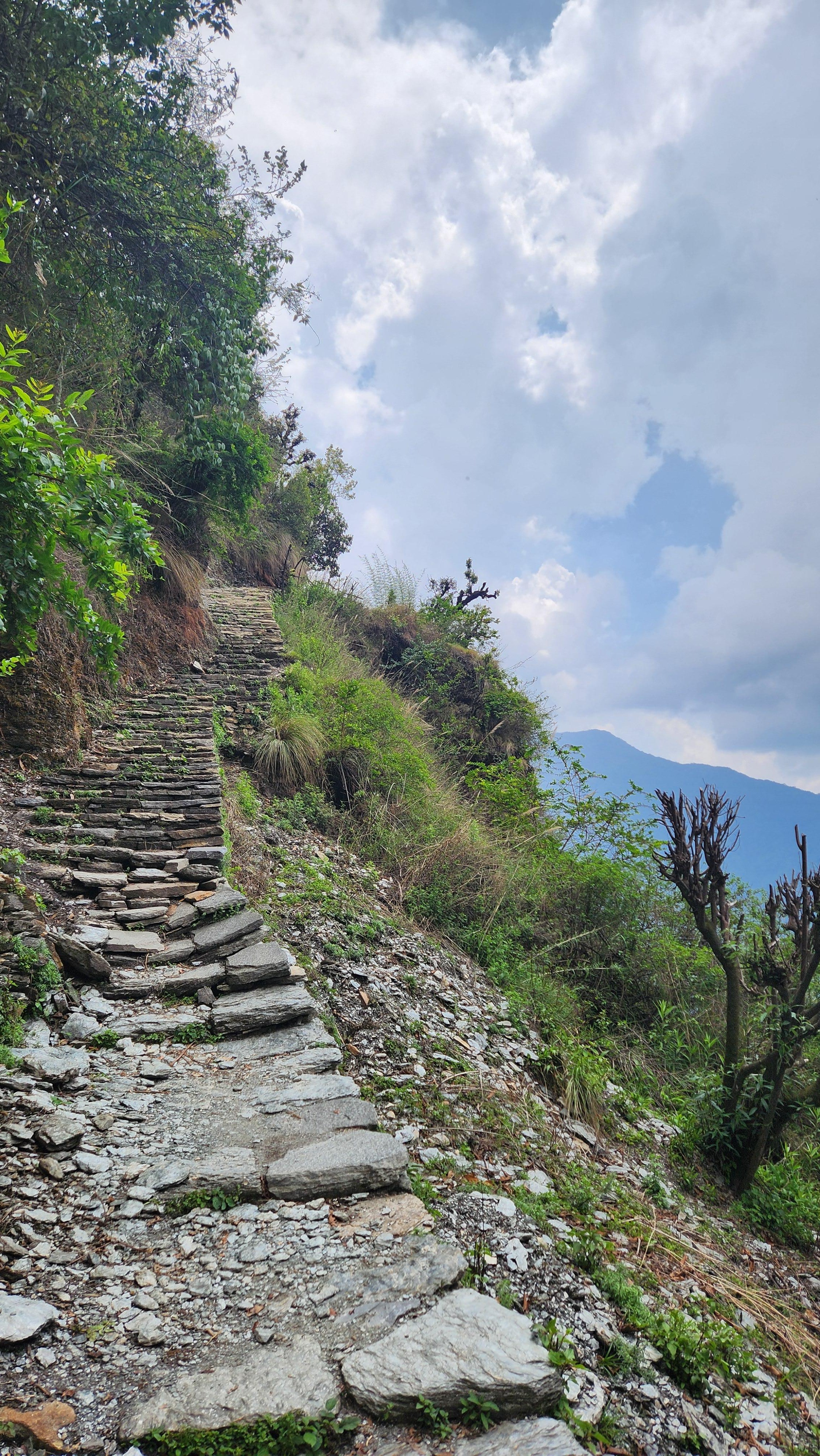 Annapurna Base Camp Trek: 12-Day Guided Tour 2