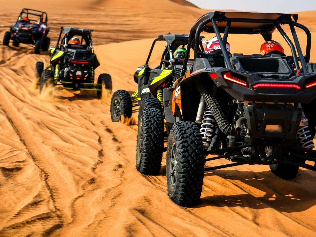 Doha: Desert Safari & City Tour from Hotel or Airport 6 Hour 2
