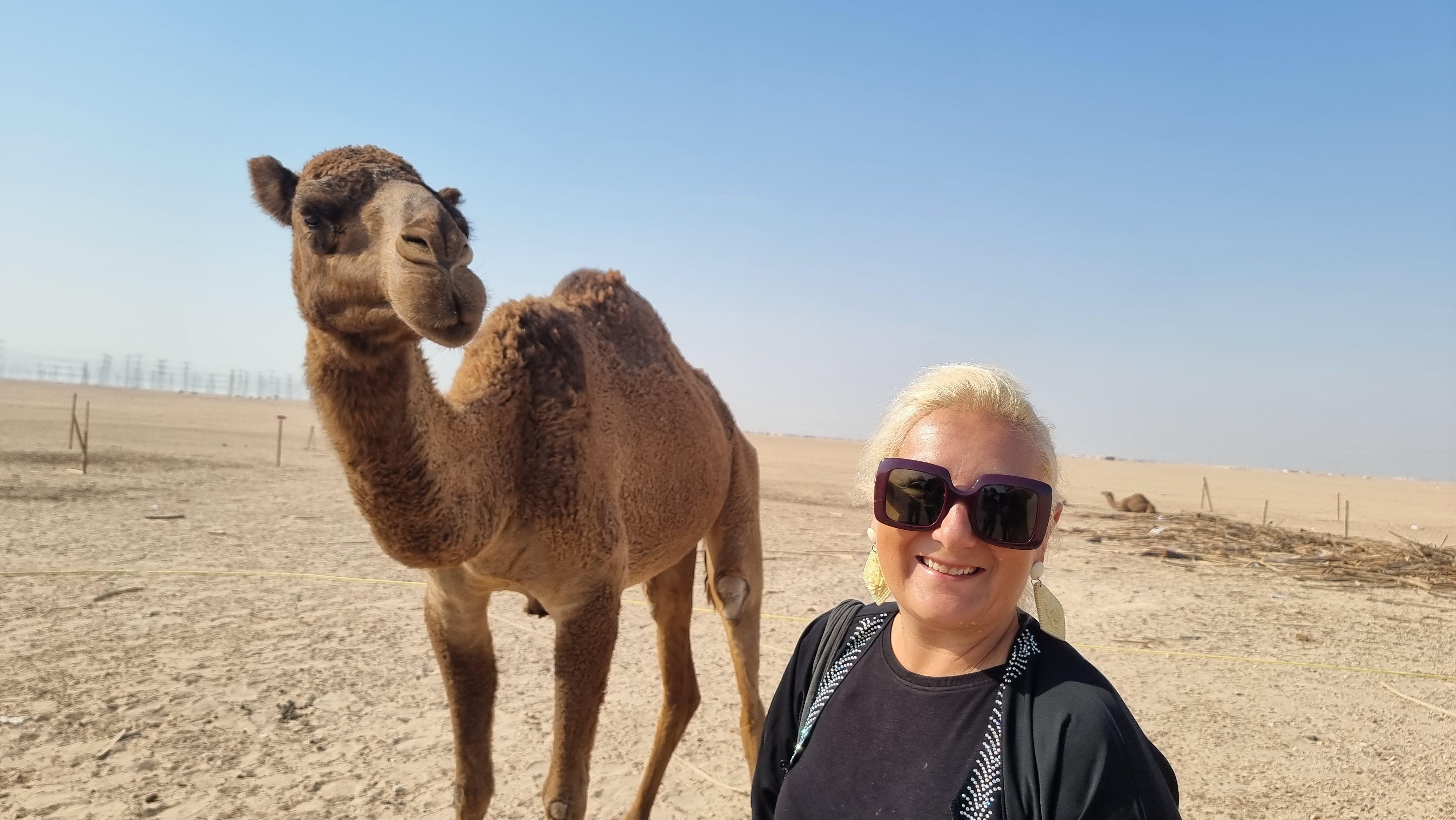 Kuwait: Desert Safari, buggy's, Camels & Kuwait Towers 3