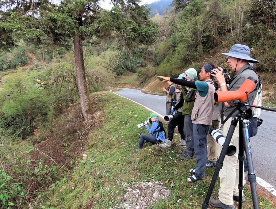 Bhutan Birdwatching Discovery: Forests, Valleys & Wetlands 2