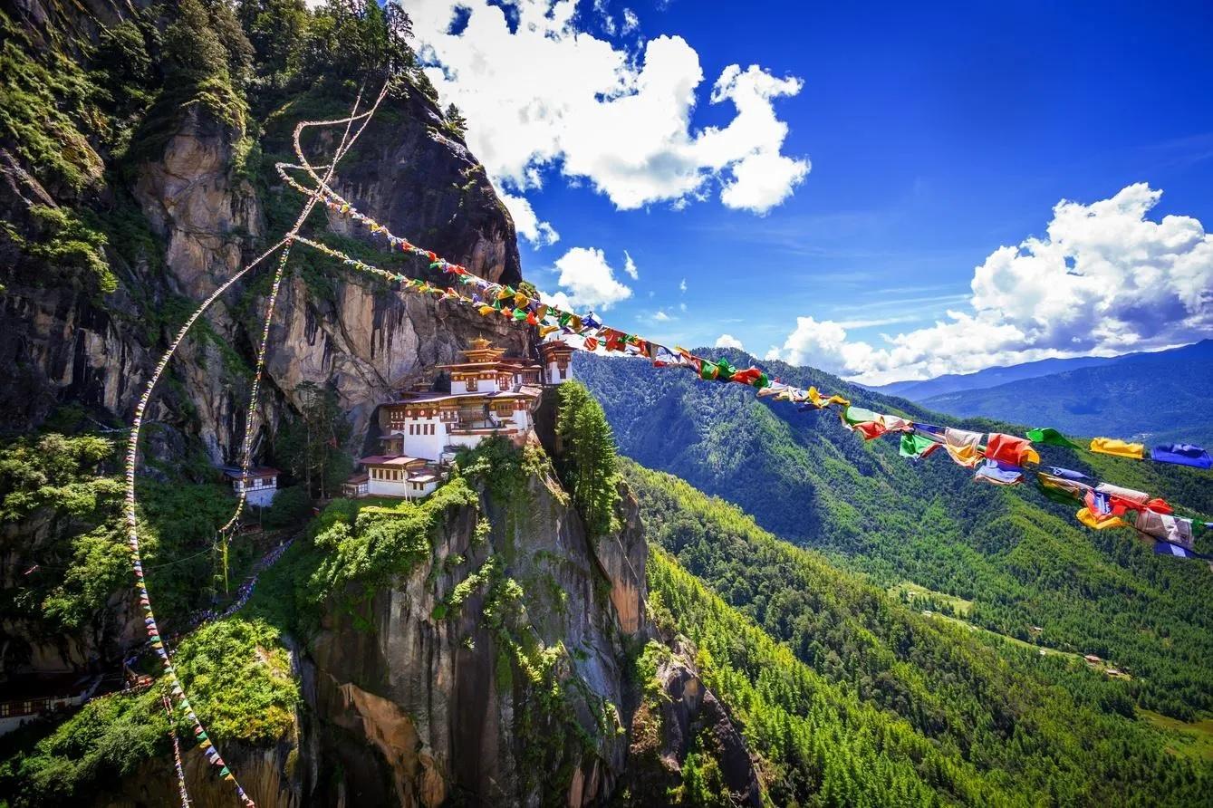 Bhutan Biodiversity & Birding Expedition – 10 Days/9 Nights 3