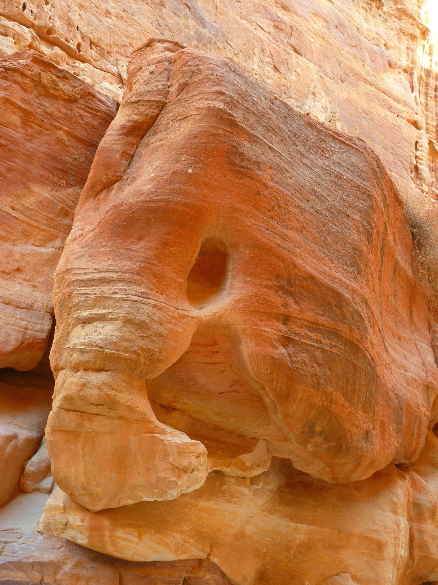 Amman: Petra and Mujib Biosphere Reserve Day Trip 2
