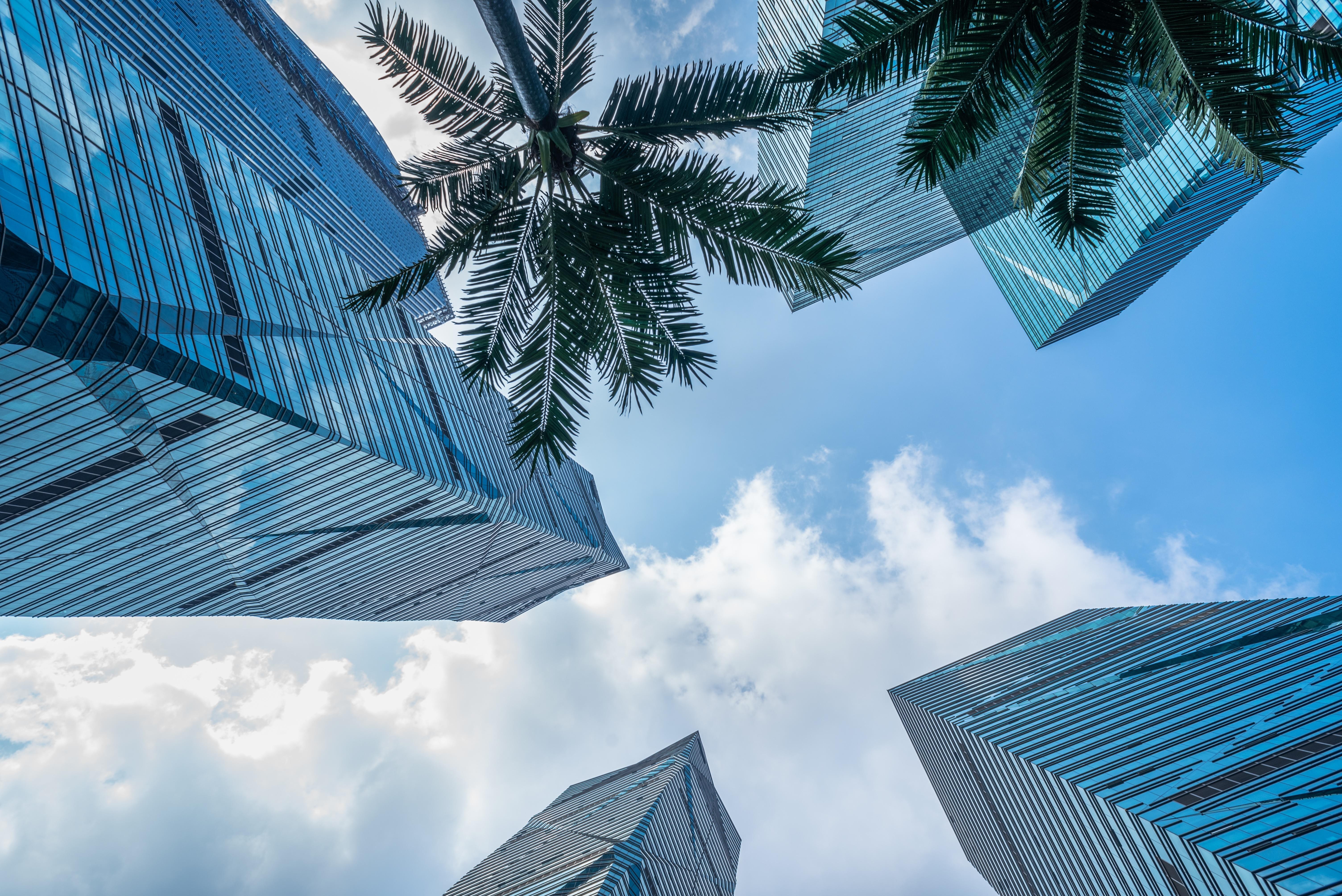 Modern Riyadh: KAFD, Architecture, Metro, & Street Food 3