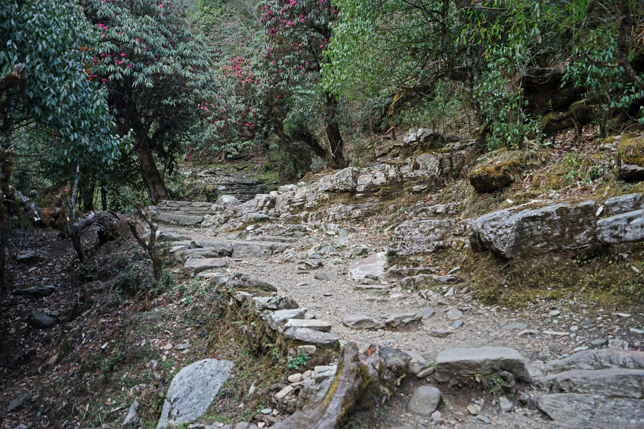 Kathmandu: 2-Day Hidden Trek to Tangu with Mountain Views 2