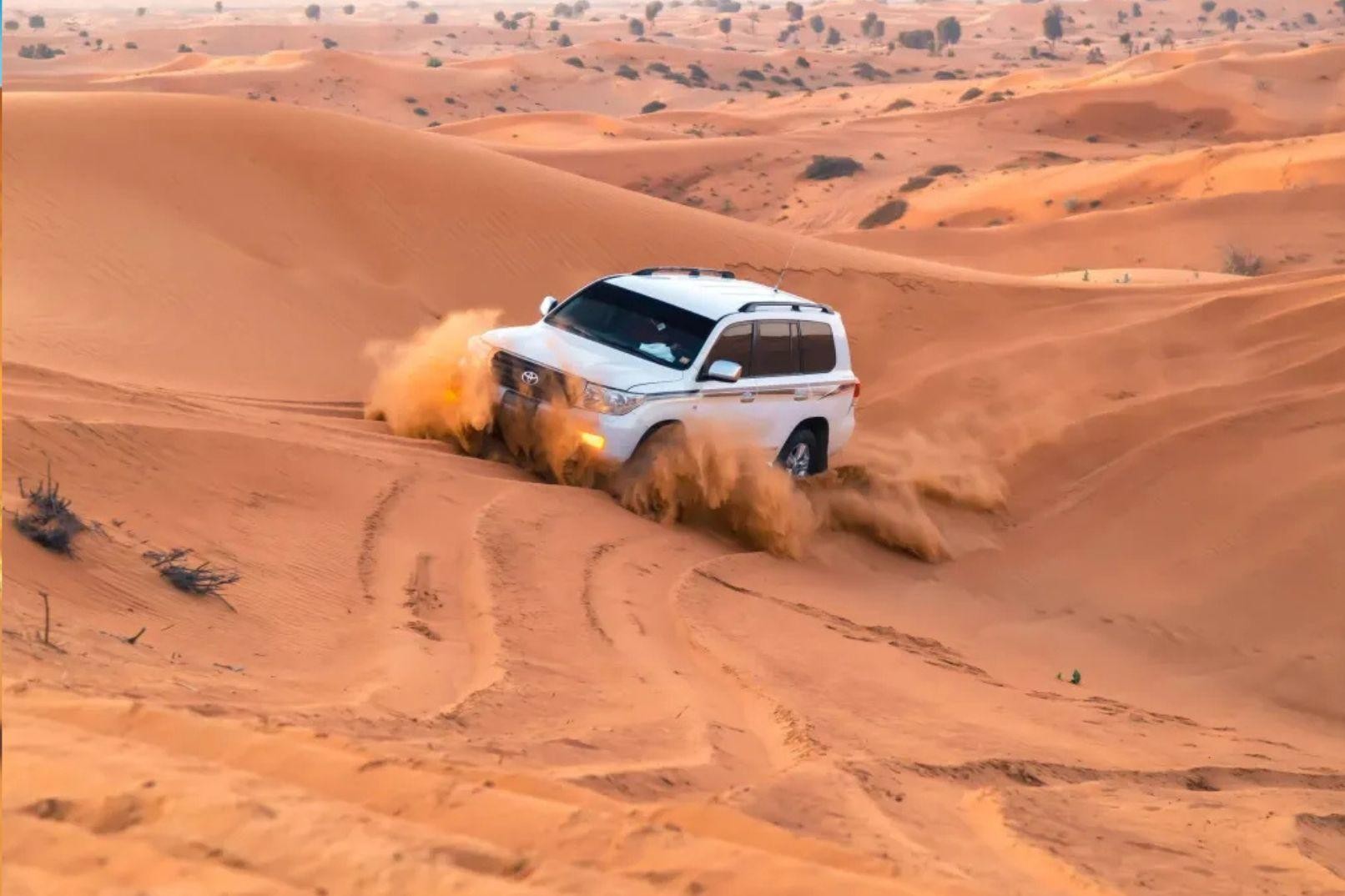 Desert safari from Cruise Terminal: Off-Road Tour in Qatar 2