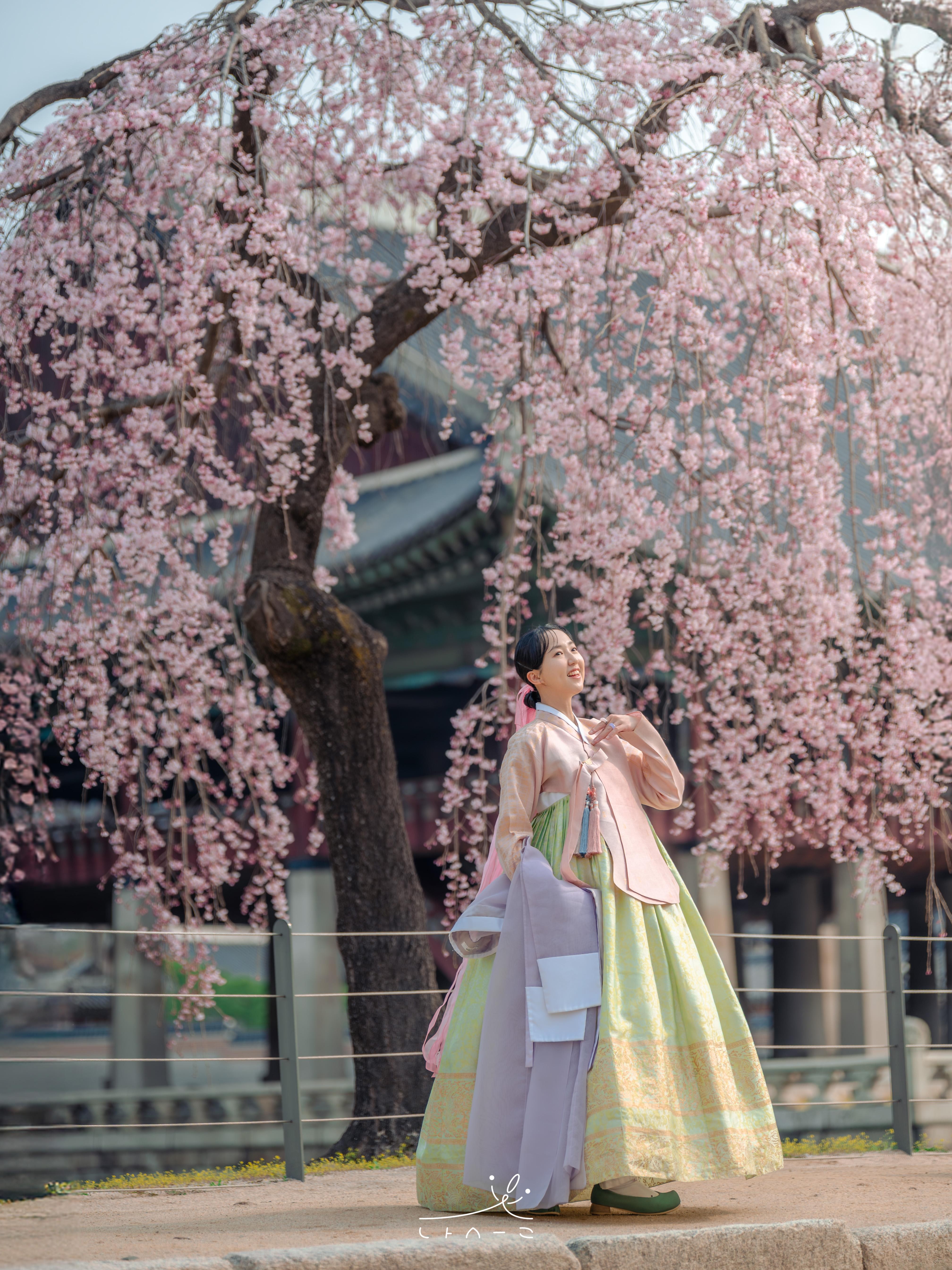 Seoul: Premium Hanbok Photo in Seoul by Sony Award Pro 2