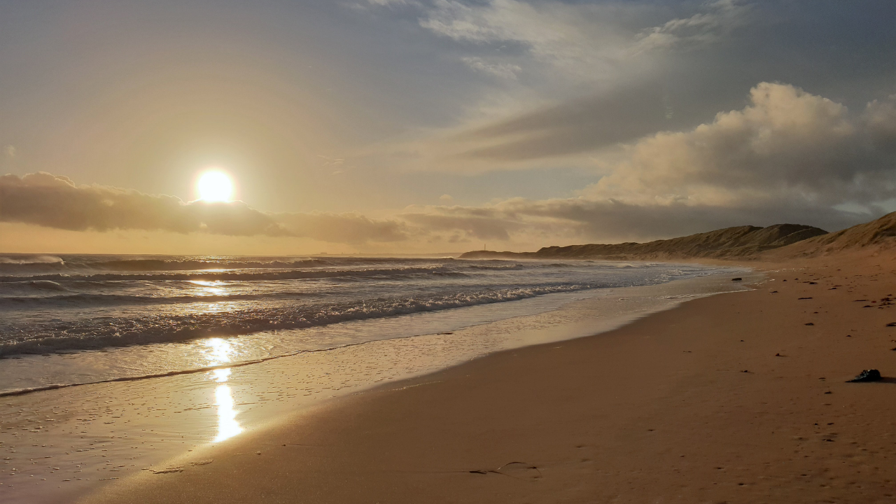 Sunrise : Privare Dune Bashing, Camel Ride & Sandboarding 2