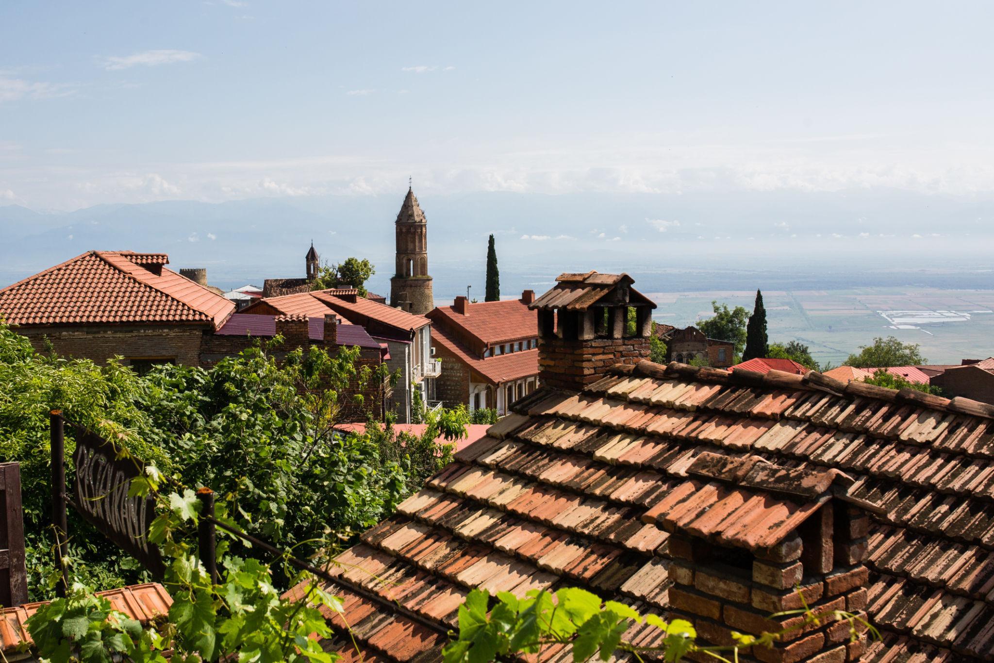 Tbilisi to Signaghi, Telavi Kakheti Wine Tour 2
