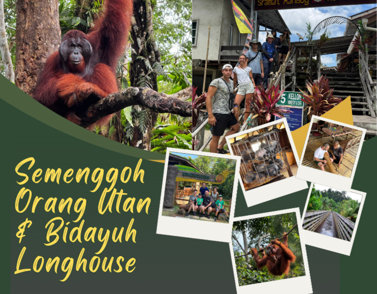 Kuching: Semenggoh Orangutan & Bidayuh Longhouse