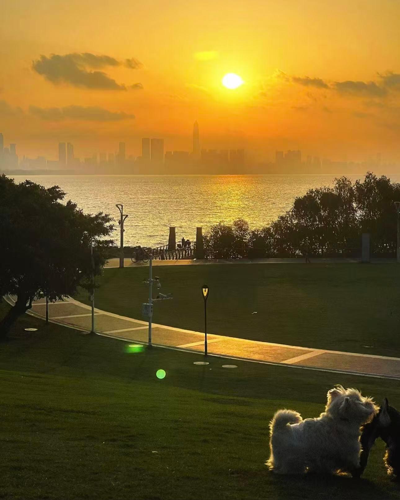 Shenzhen: Bay Park and Talent Park Guided Bike Tour 3