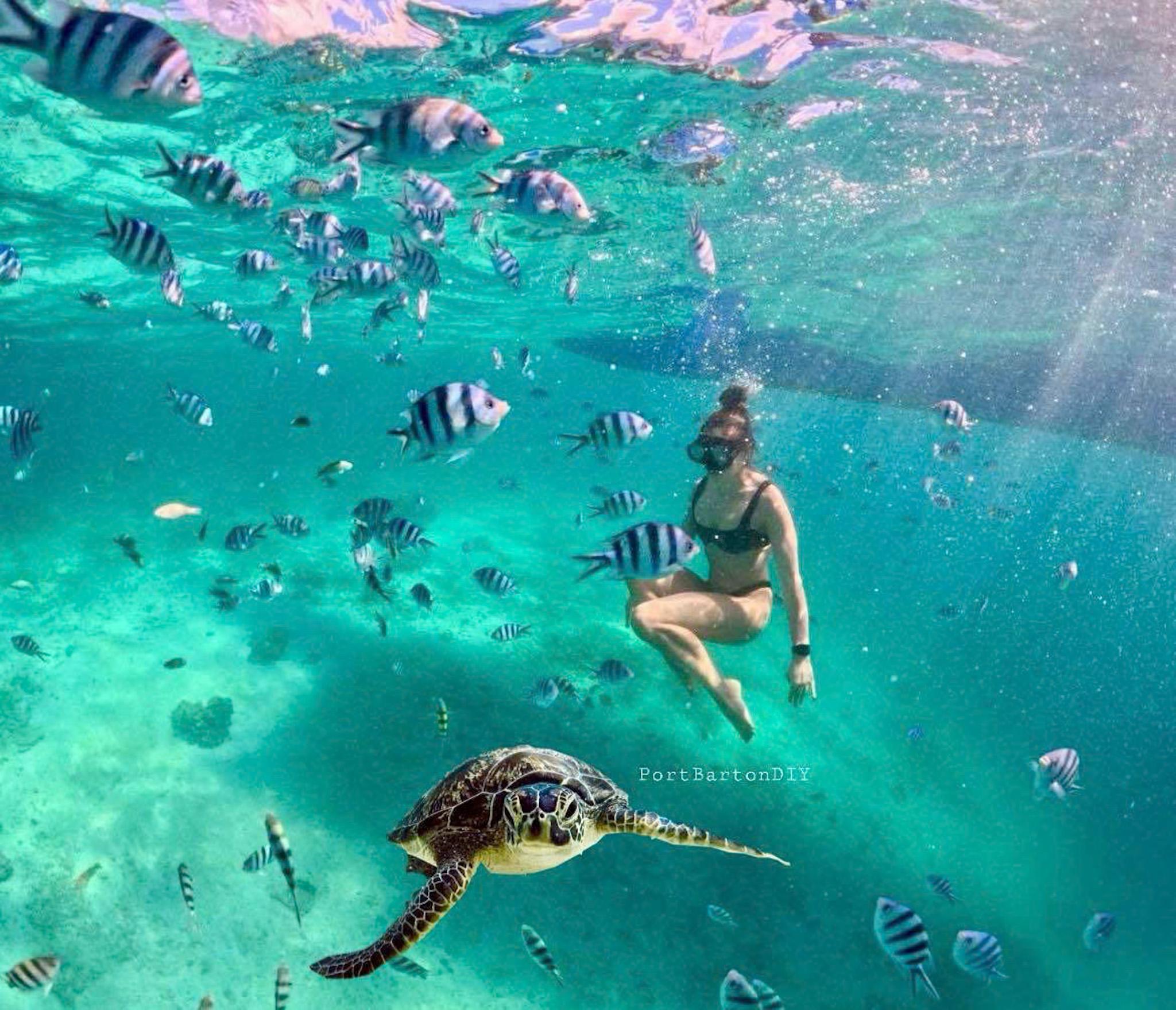 Port Barton: Island-Hopping Tour to Swim with Sea Turtles