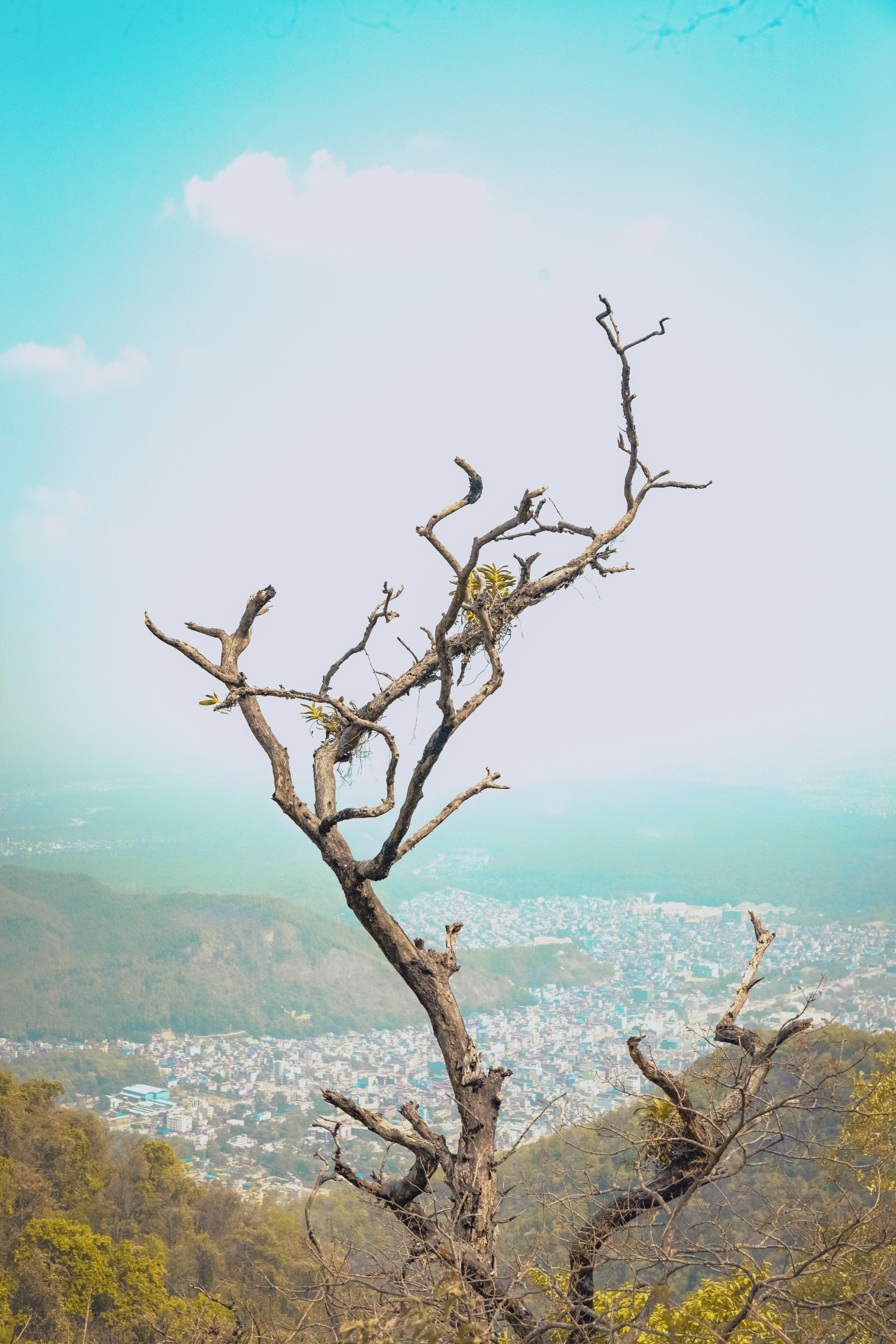 From Kathmandu: Nuwakot Palace, Temples & Village Day Trip 3