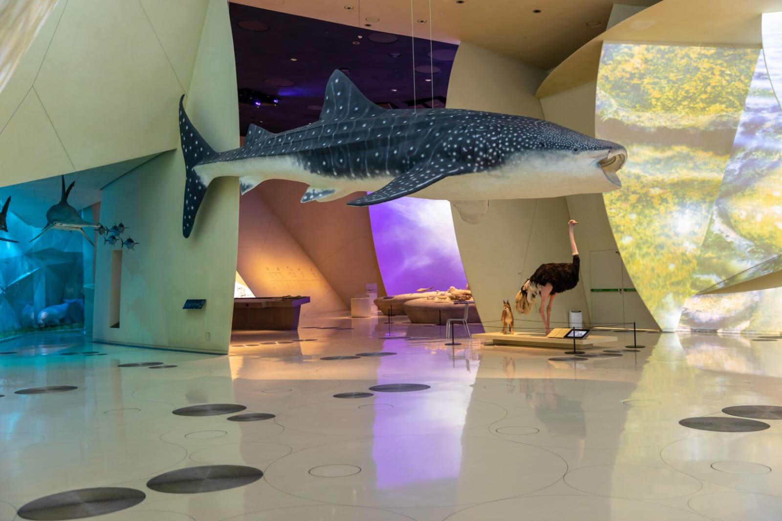 National Museum of Qatar: Admission Ticket 2