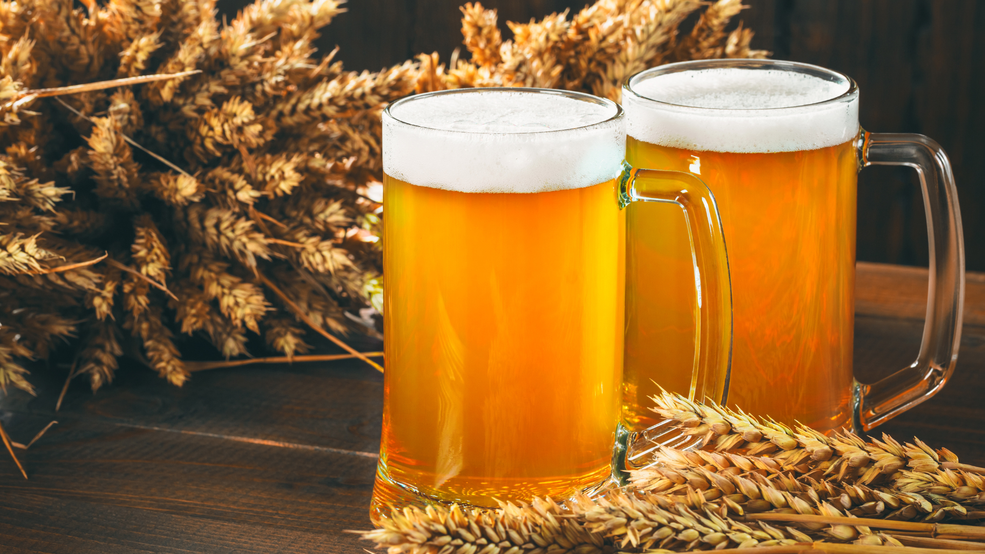Kathmandu: 3+ Nepali Beer Testings with Optional Dinner