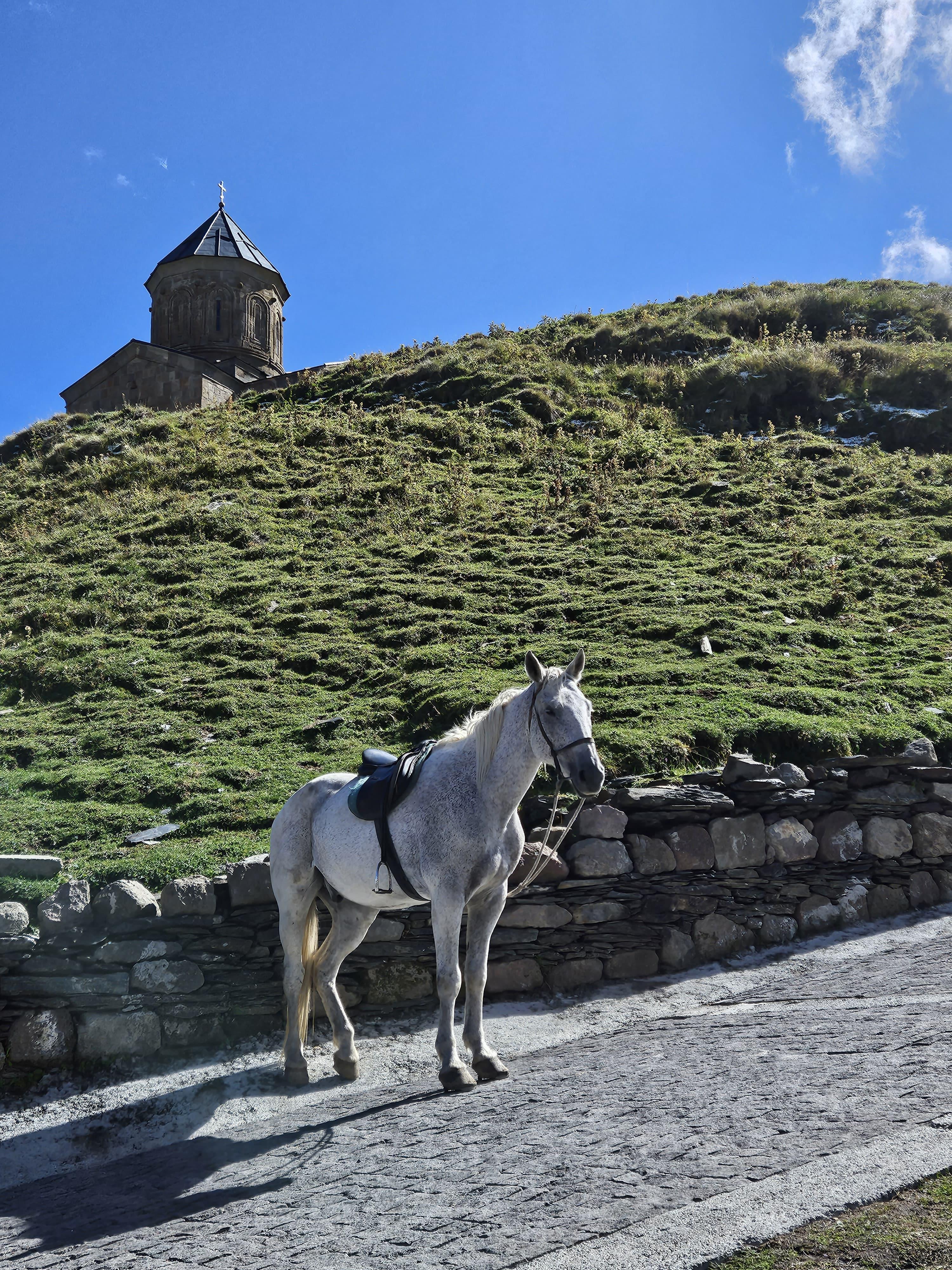 From Tbilisi to Kazbegi and back: Full-Day Private Tour 3