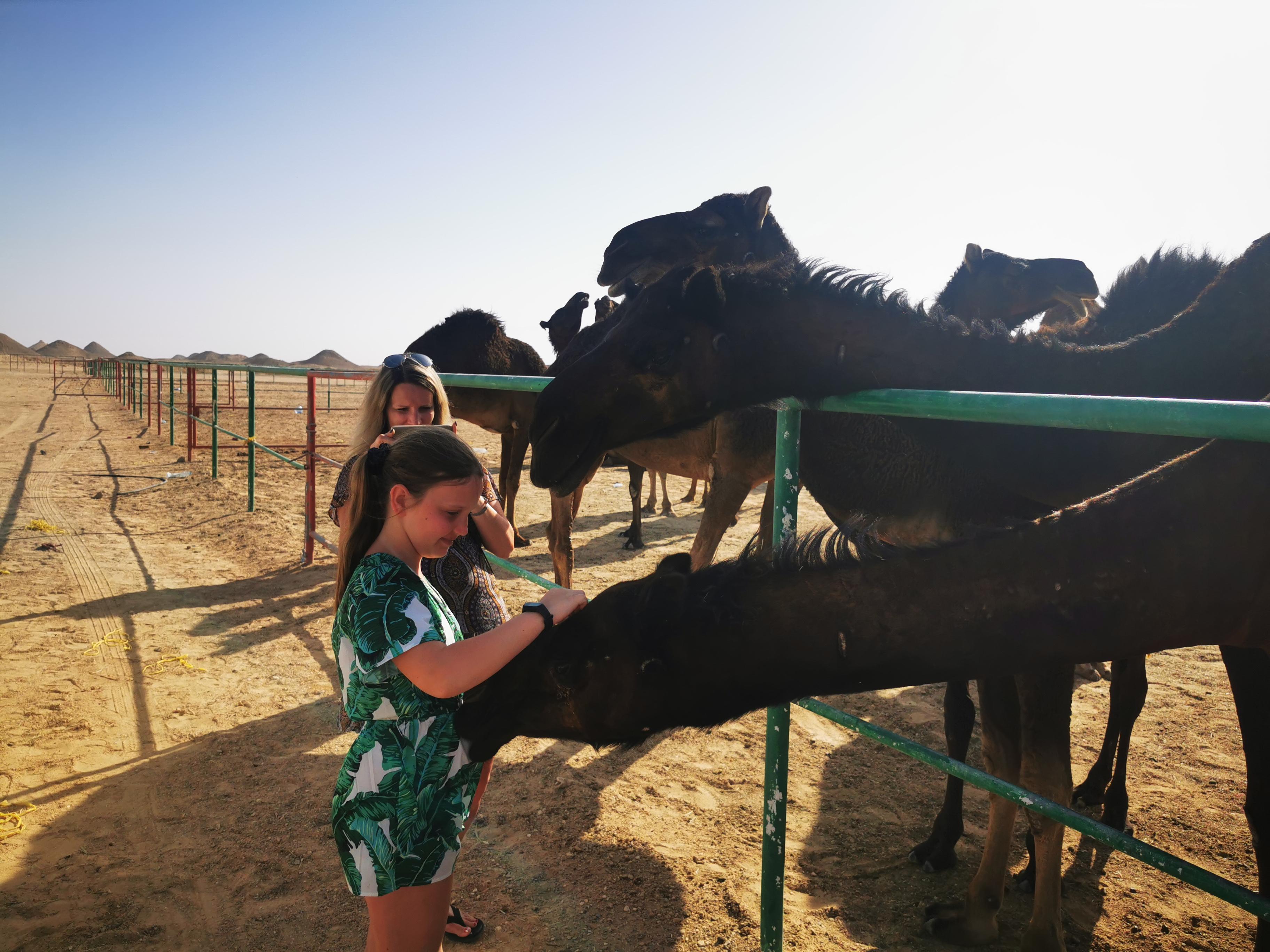 Desert Overnight Tour 1 VisitSalalah 3