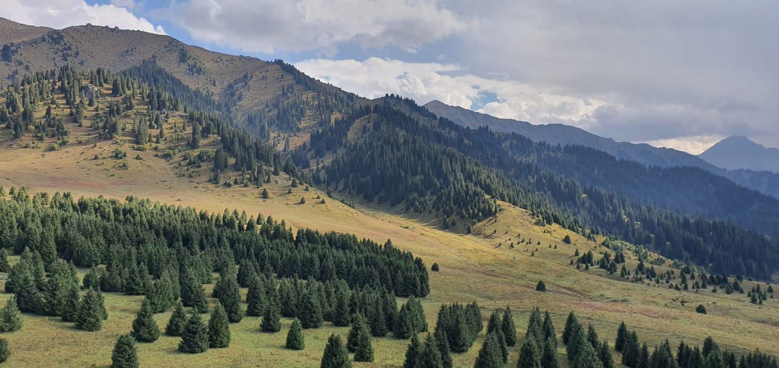 Almaty: Private Mountain Tour with Guide 2