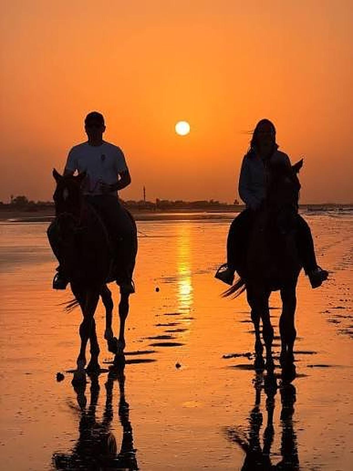 Muscat: Sunset Horse Riding on the Beach + Private Transfer 3