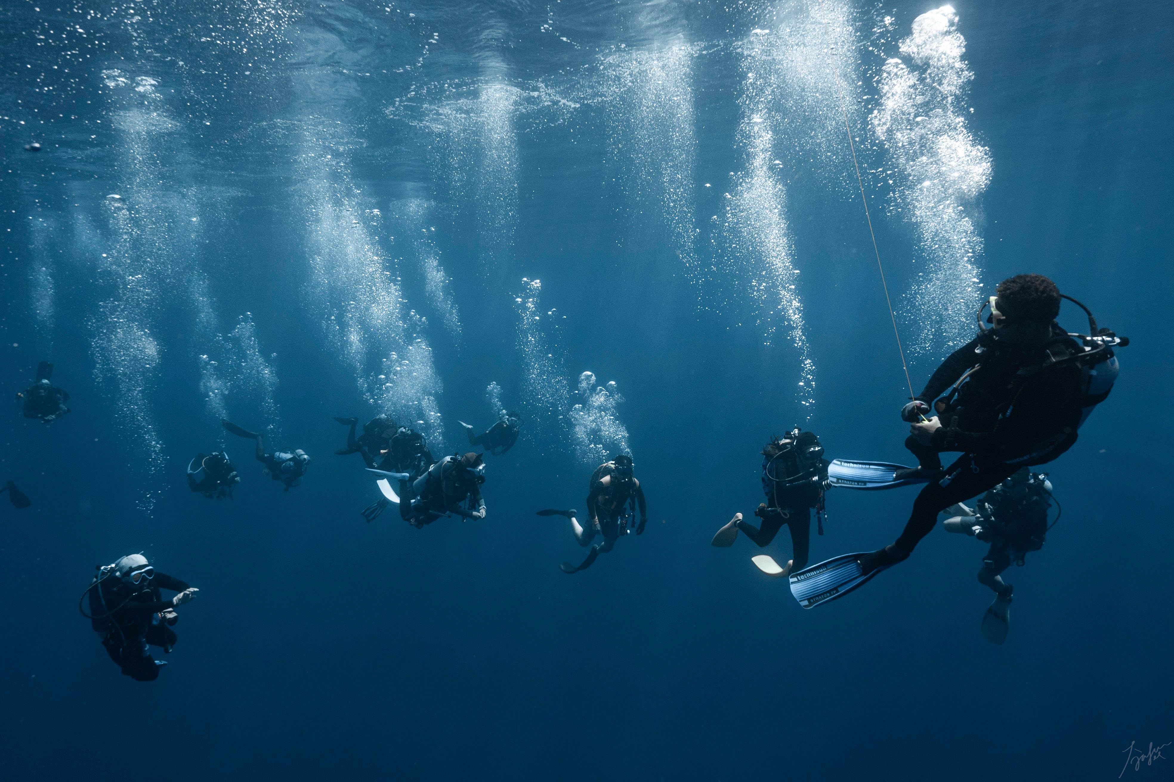 Maldives: 7-Night Shark Diving & Stay Package with 11 Dives 3