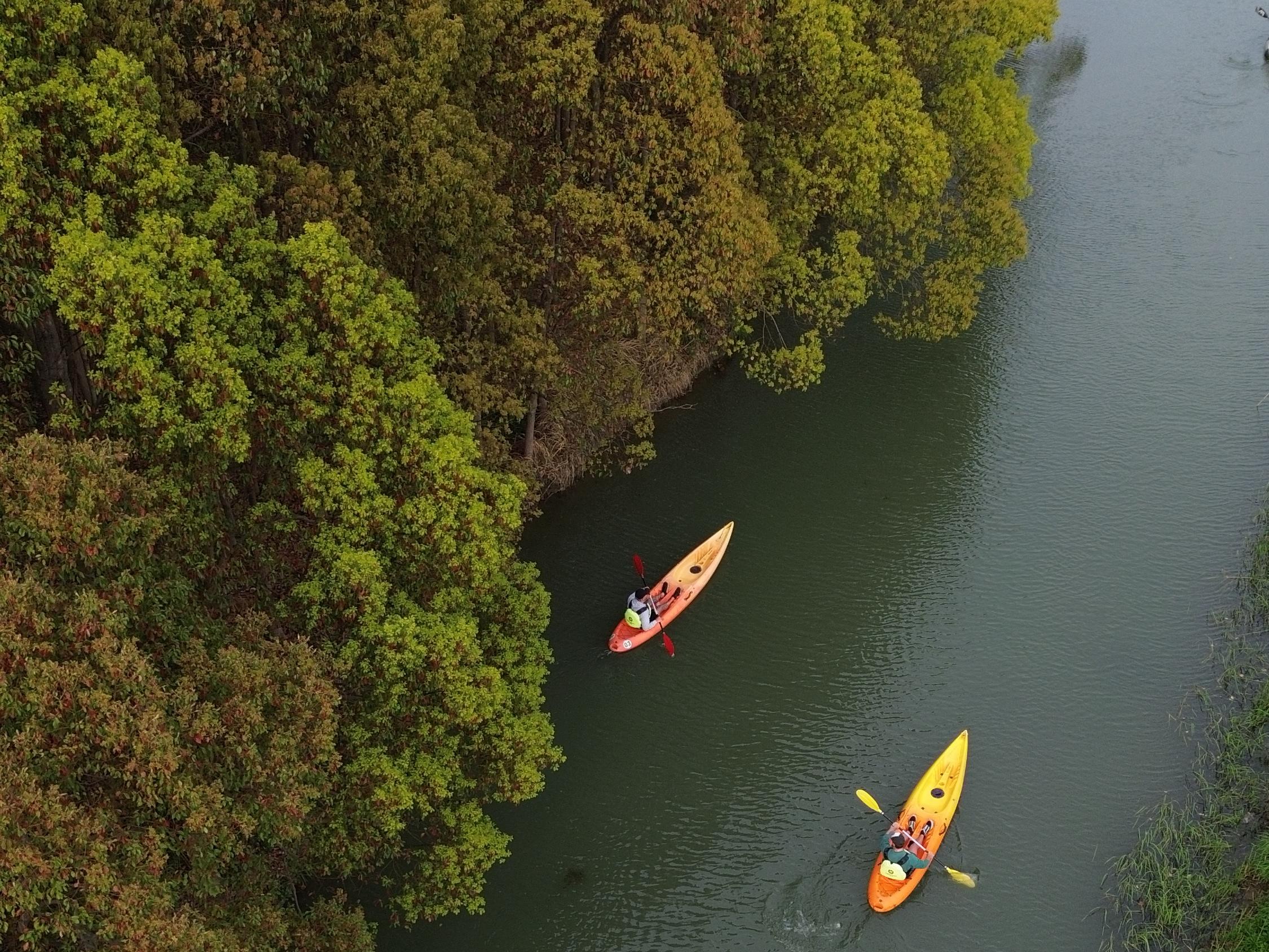 Shanghai: Jungle Kayaking Tour with Drone Photography 3