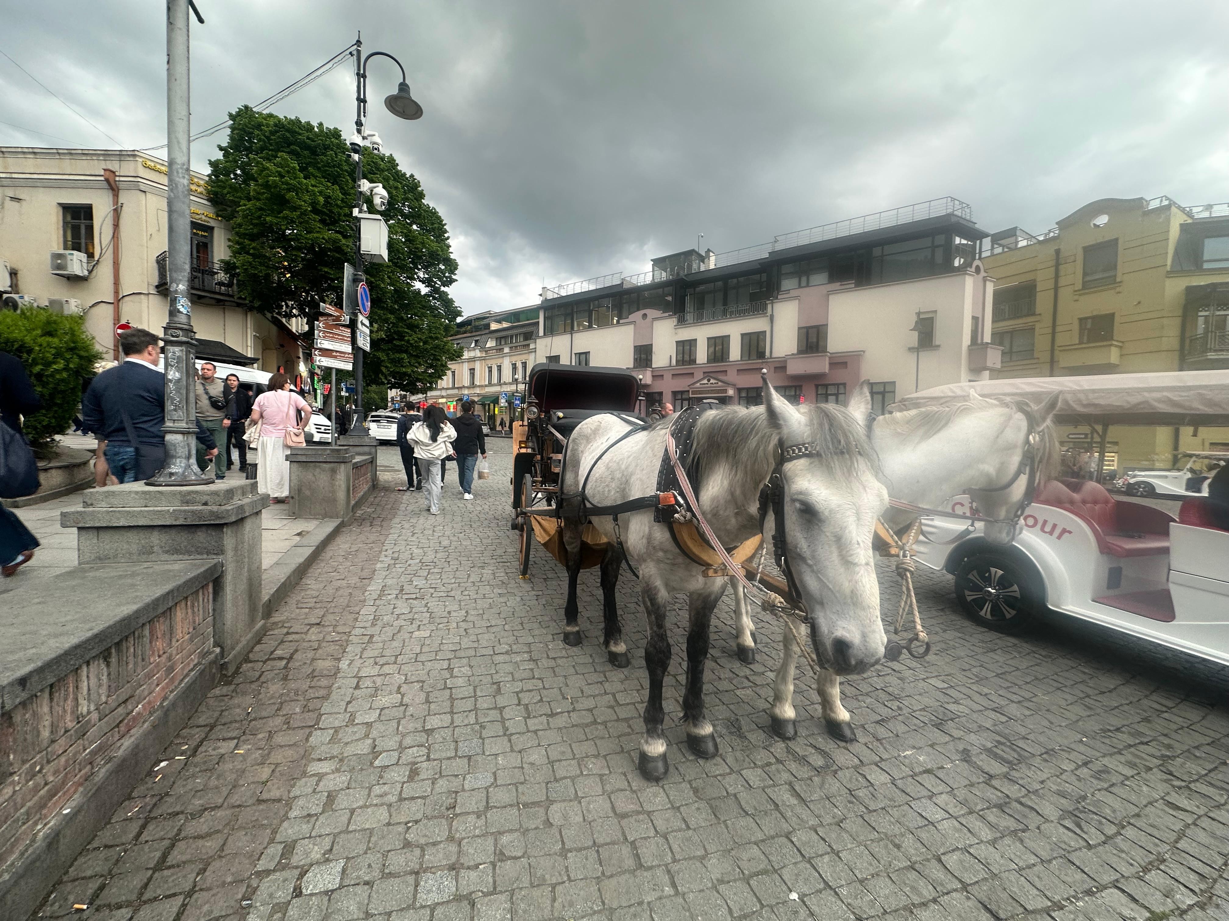 Tbilisi: Horse-Drawn Carriage Ride in Old Town 2