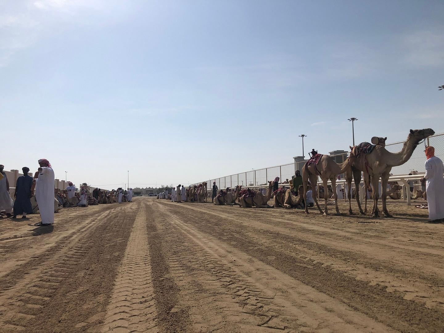 Doha: Camel Race Track/Mushroom Hill/Richard Serra Sculpture 2