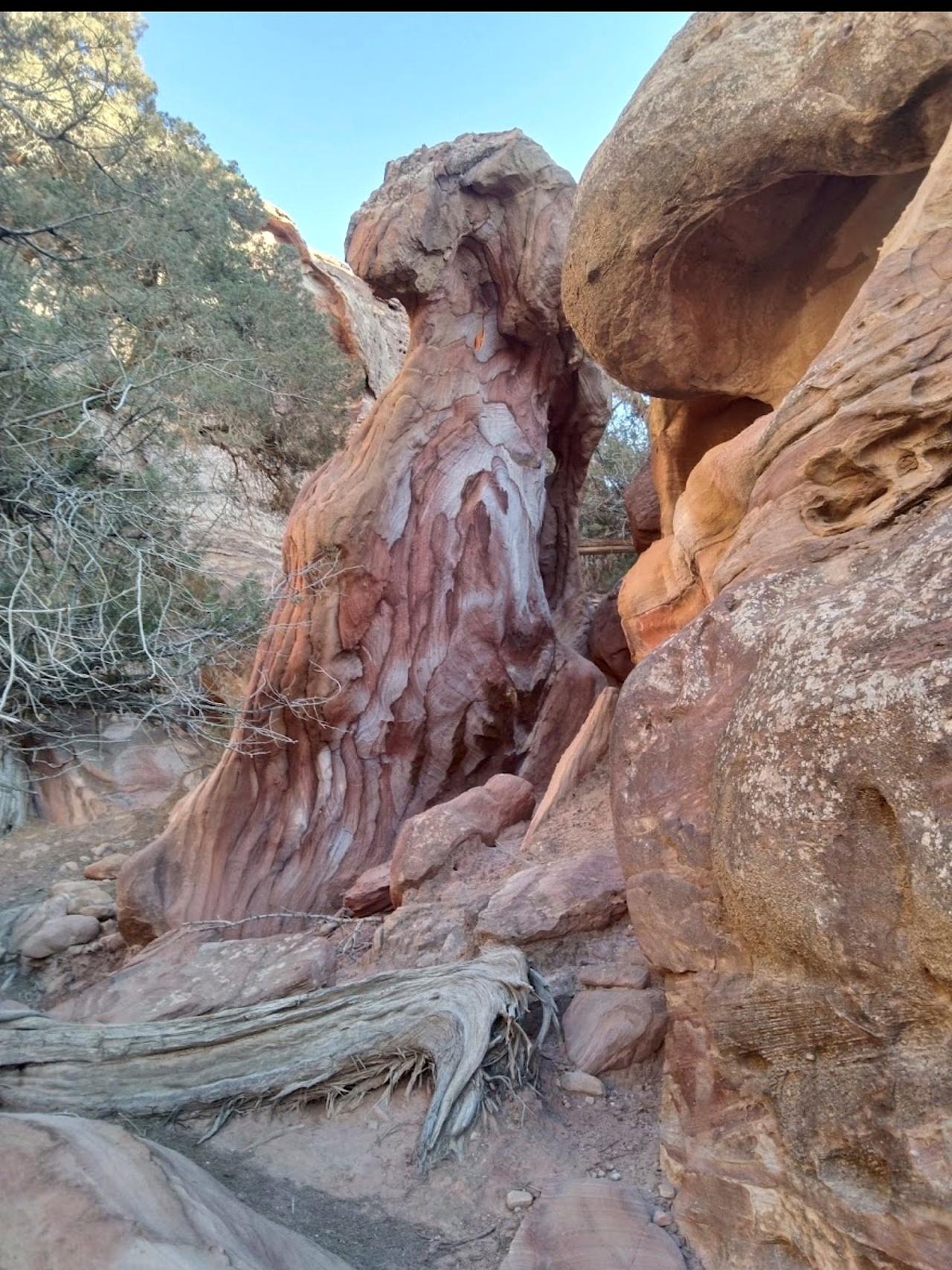 2-Day Petra, Dead Sea, Pink Lake & Indiana Jones Road Trip 3
