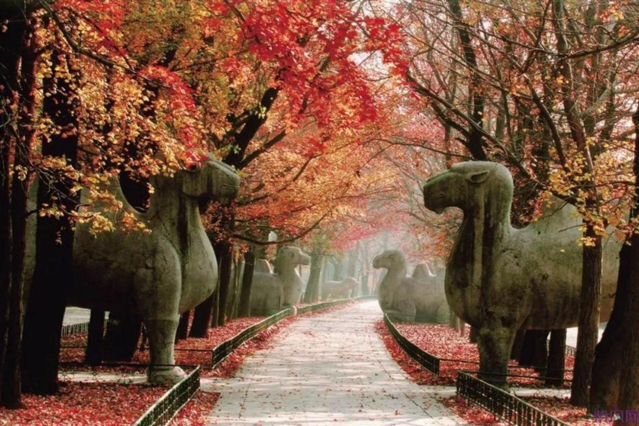 From Shanghai: Nanjing Ming Palace & Xiaoling Private Tour