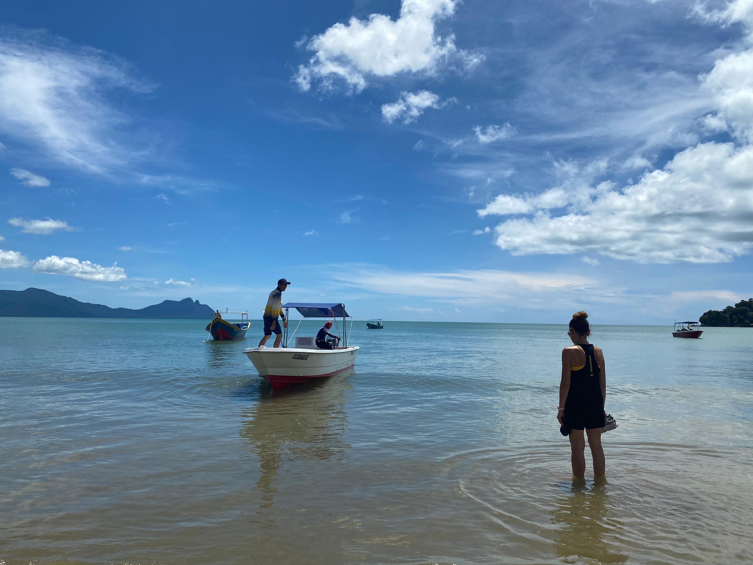 Kuching: Bako Wildlife & Permai Rainforest 2-Day Tour